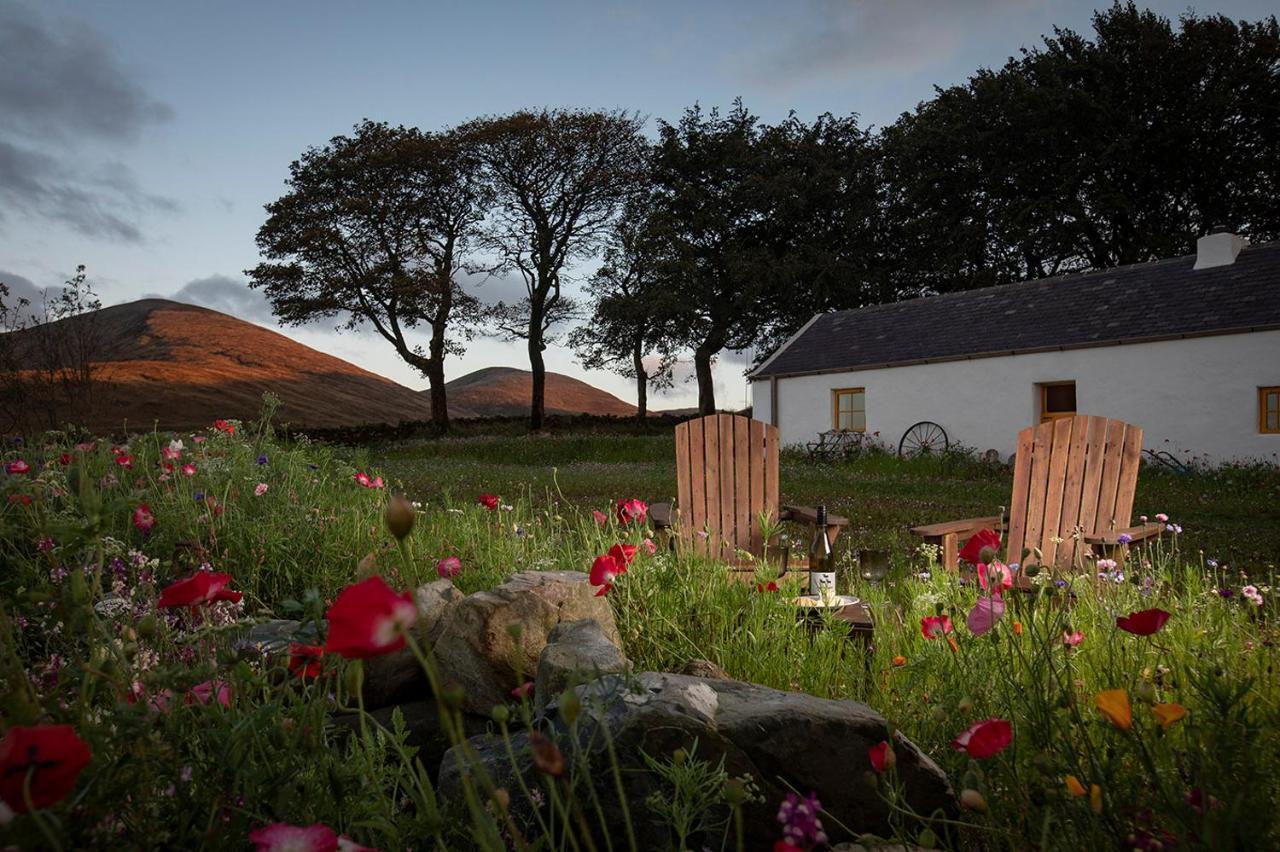 Thistle Thatch Cottage And Hot Tub - Mourne Mountains Newcastle  Kültér fotó